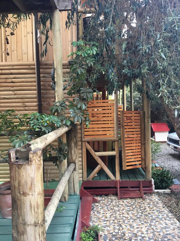 La Maison Des Fous *